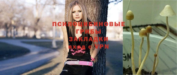 mdpv Верхний Тагил