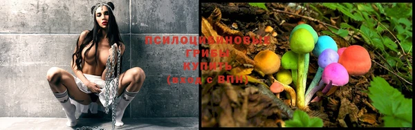 mdpv Верхний Тагил