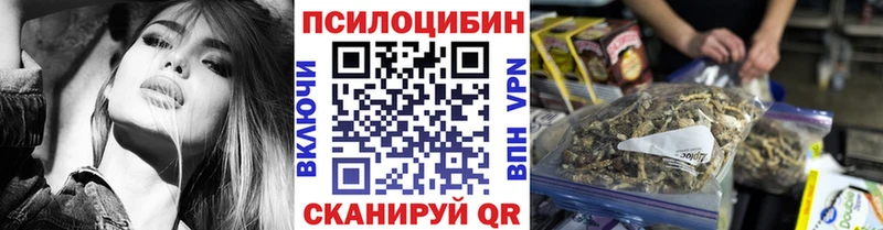 дарнет шоп  Волхов  Псилоцибиновые грибы Psilocybine cubensis 